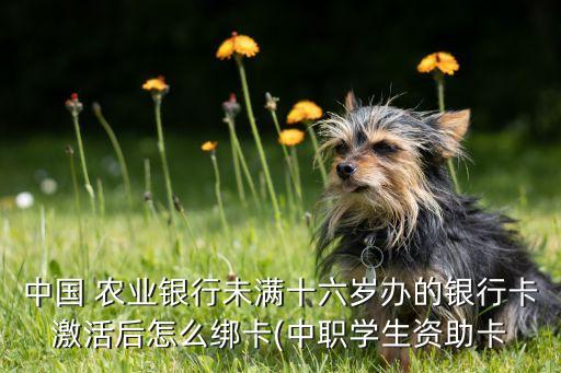 农业银行怎么绑定手动卡,手机农业银行怎么绑定两张卡