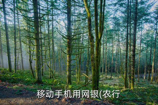 怎么充值农业银行卡密码,农业银行卡充值到微信收费吗