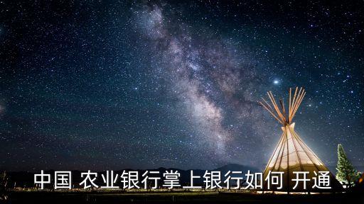 农业银行的专户怎么开通