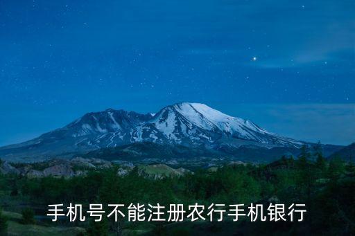 怎么注册不了农业银行APP,在农业银行APP上注册不了