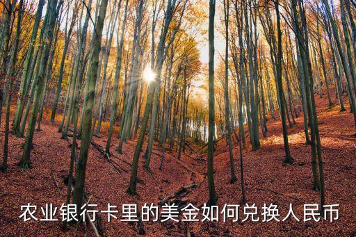 农业银行国际外汇怎么办理