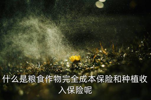 什么是农业保障,由于有了农业,食物有了保障