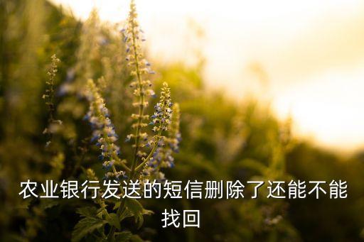 怎么恢复农业银行信息,农业银行95599短信恢复