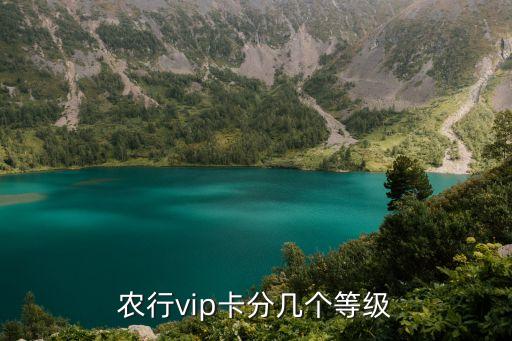 农业银行怎么分类会员