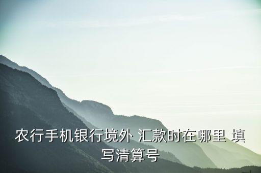 中国农业汇款表单怎么填写