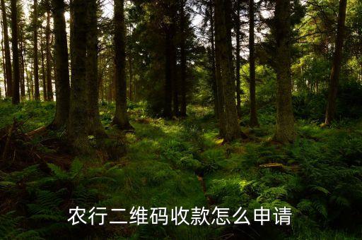 wish上农业银行怎么弄