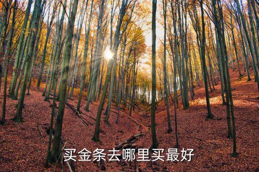 农业银行怎么抢金币