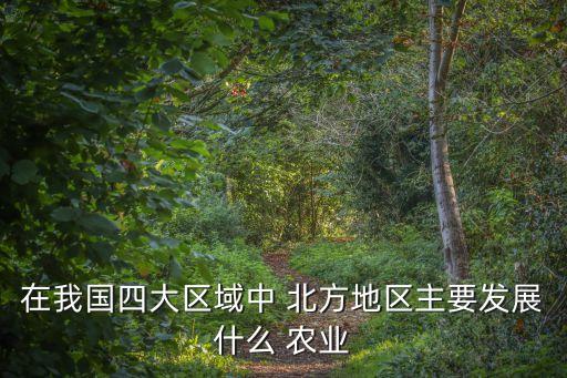 今年北方农业前景怎么样,vr和农业的前景怎么样