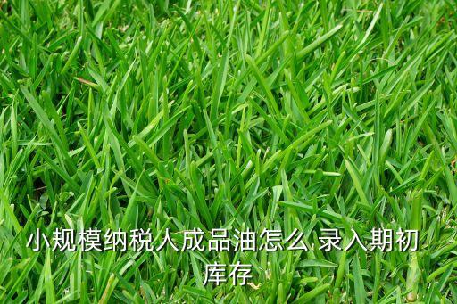 农业发票库存怎么录入,商贸公司开发票需要根据库存录入