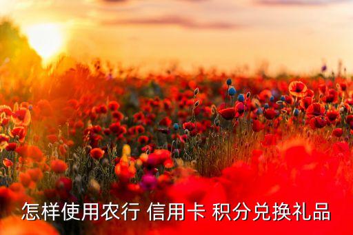 农业信用卡积分怎么用