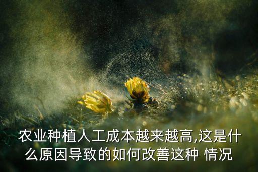 农业平播是什么情况,农业六不用是什么情况