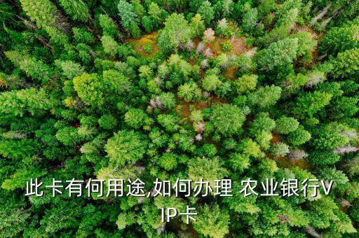 农业银行vip怎么开启,怎么成为农业银行vip