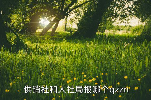 农业农村局和供销社怎么选,供销社与农业农村局的关系