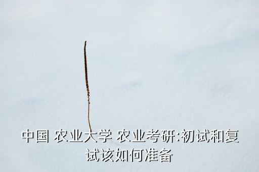 农业管理硕士怎么准备,农村发展和农业管理硕士哪个好