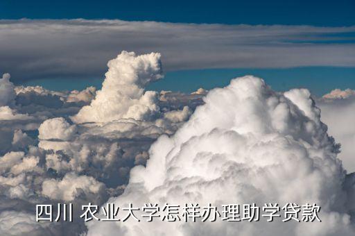 金龙农业怎么样,哈金龙农业1551