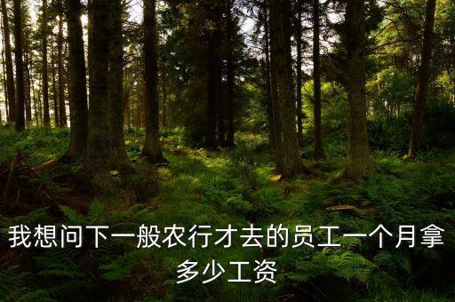 兴化农业银行待遇怎么样,江苏兴化农业银行网点