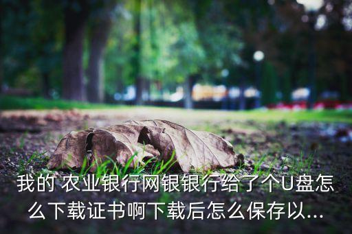 农业银行的u盘怎么使用,农行u盾怎么使用