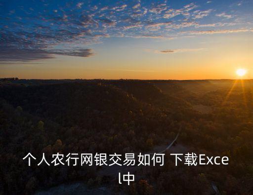 农业银行工资表怎么下载