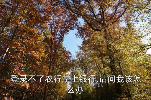 农业个人网银怎么登录不上
