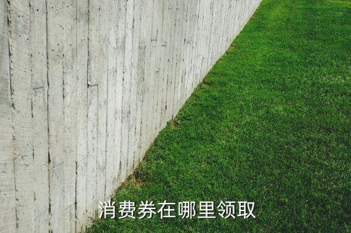 衡水农业银行消费券怎么领,农业银行消费券登录了找不到