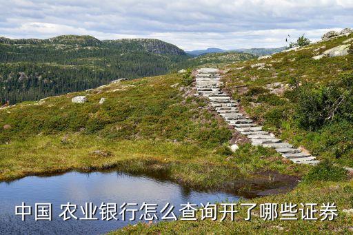 农业公司有几类账户怎么查看信息
