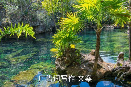 农业商店名字文案怎么写,抖音文案名字怎么写吸引人