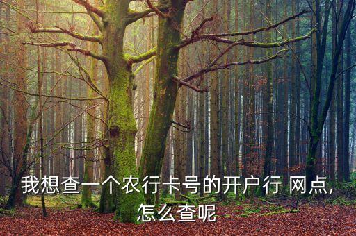 怎么查农业银行网点代码,农业银行交易网点代码一览表