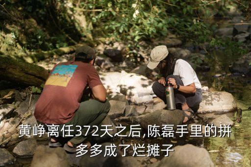 拼多多农业模式怎么改革