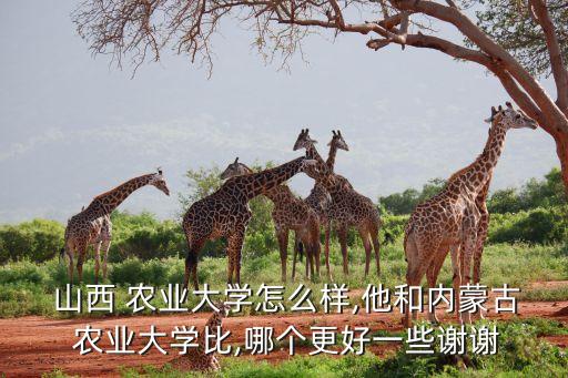 山西农业大学档次怎么样