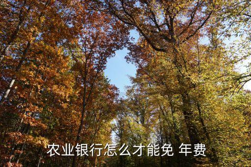 农业银行怎么取消卡的年费