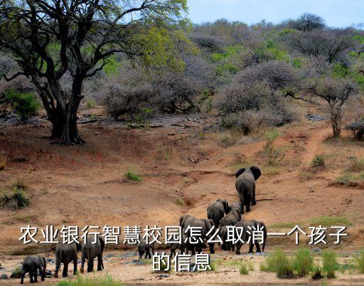 农业银行学生怎么切换,怎么把农业银行切换回到前台