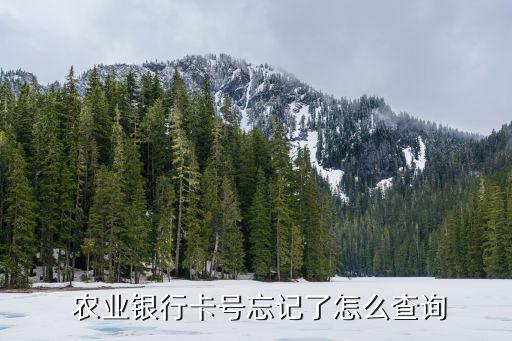 农业证号查不到怎么办