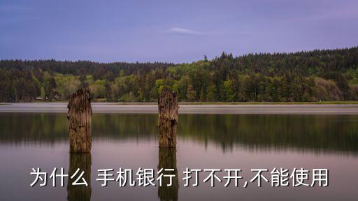 手机农业银行怎么打不开了,手机下载农业银行怎么登录