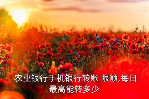 农业银行k宝怎么用限额