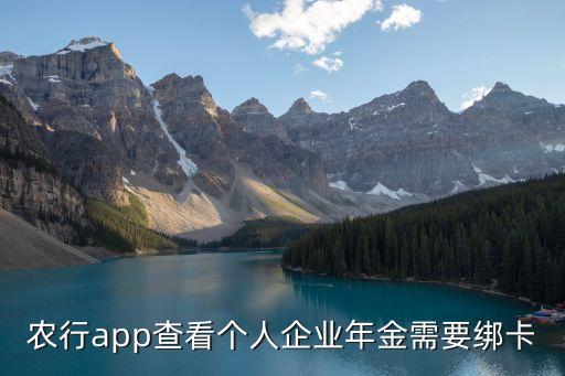 农业银行怎么查年金