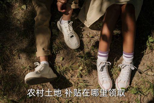 农业银行春耕补贴怎么领