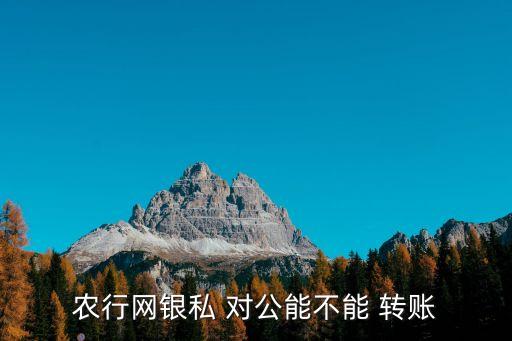 农业银行对公怎么转账出去,手机农业银行转账出去的钱怎么收回