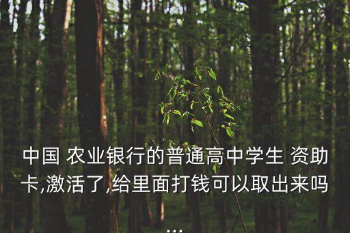 农业银行资助卡怎么使用