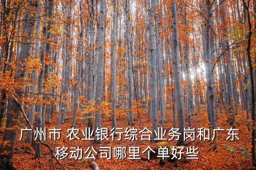 广州农业银行怎么样,中国农业银行广州羊城支行怎么样