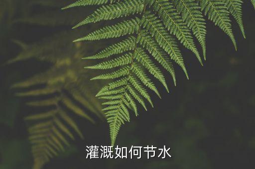 农业灌溉设计应该怎么做,农业观光园规划设计