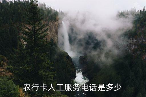 农业银行有问题怎么咨询,怎么咨询农业银行客服