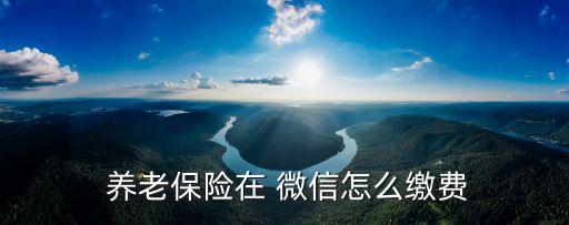 农业养老保险微信怎么交,微信个人养老保险查询
