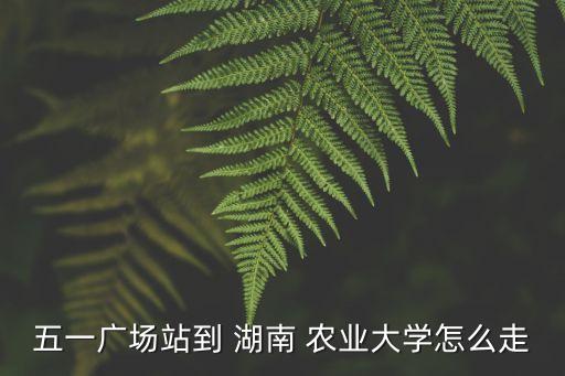 怎么去湖南农业大学,湖南农业大学教务系统