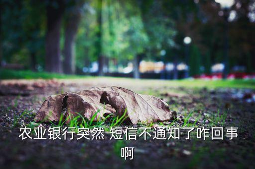 农业银行短信怎么没有提醒,如何退订农业银行短信提醒