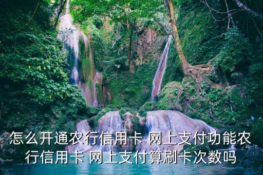 农业银行网上k码怎么申请,网上怎么申请农业银行储蓄卡