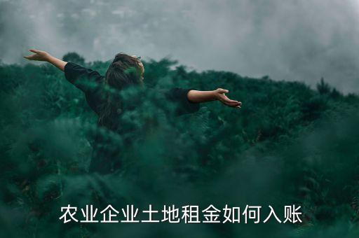 农业公司财务怎么做账,公司财务做账流程