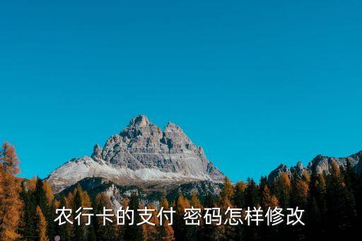 农业银行怎么重置交易密码