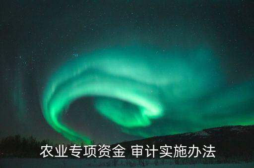 农业公司审计怎么做工作,公司审计报告怎么做