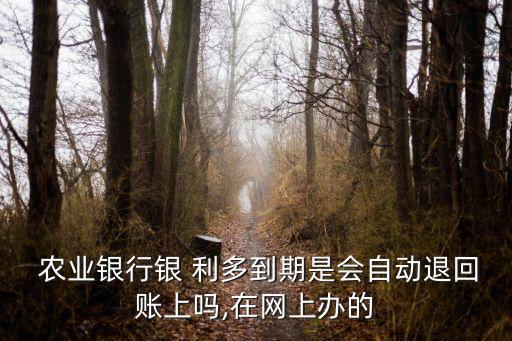 农业银行银利多怎么退