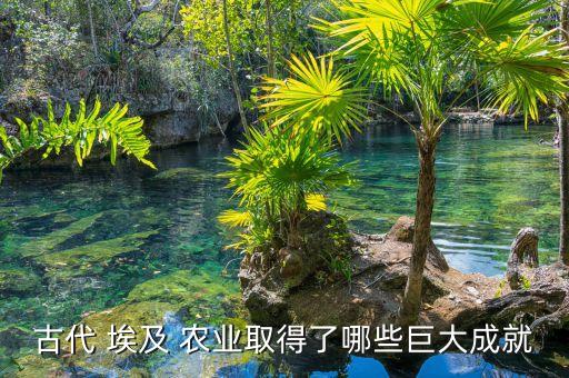 埃及发展什么农业,埃及农业发展的限制性条件
